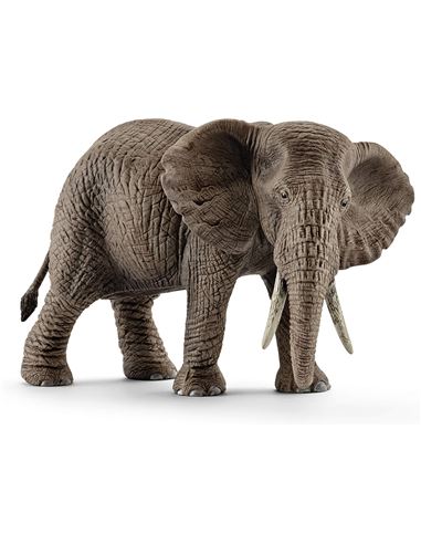 Figura - Wild Life: Elefante Africano Hembra - 66914761