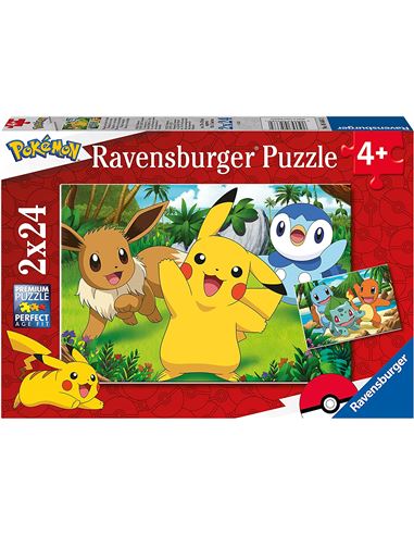 Puzzle - Pokemon (2x24) - 26905668
