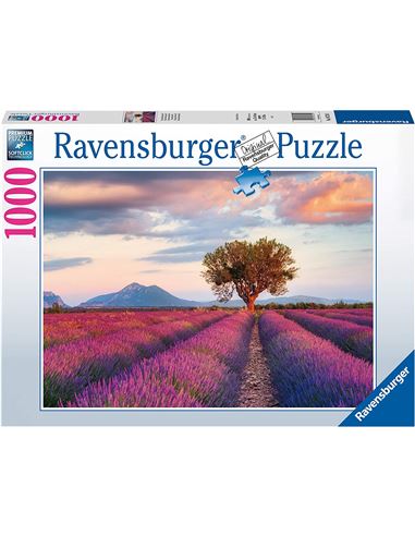 Puzzle - Campos de Lavanda (1000 piezas) - 26916724