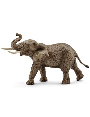 Figura - Wild Life: Elefante Africano Macho - 66914762