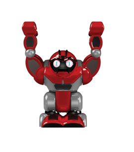 Boombot Robot Humanoide